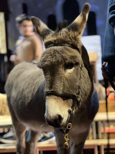 St George's Church | Altrincham | Pop-Up | Nativity | Chidlren | Family | Fun
